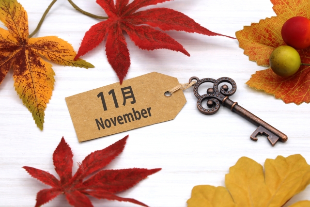 11月診察スケジュール